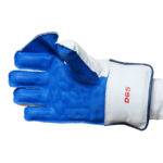 D65 Wicket Keeping Gloves