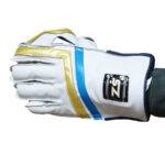 D65 Wicket Keeping Gloves