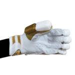 Players Batting Gloves