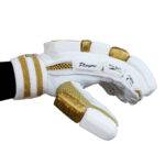 Players Batting Gloves