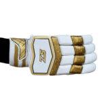 Players Batting Gloves