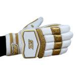 Players Batting Gloves