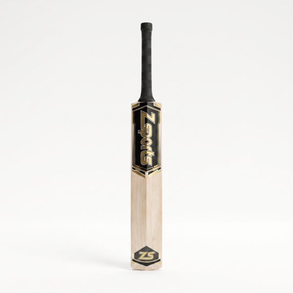 Hitter Back