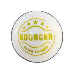 Bouncer White Leather Cricket Balls