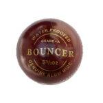 Bouncer Red Leather Cricket Balls