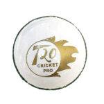 T20 White Leather Balls