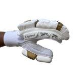 Legend Batting Gloves 2