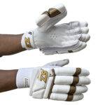 Legend Batting Gloves 5