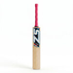 Masterclass – Premium Kashmir Willow Cricket Bat Front