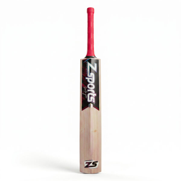 Masterclass – Premium Kashmir Willow Cricket Bat Back